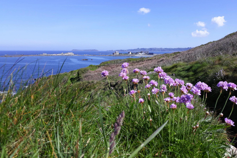 Others 5, Stone House near Rosa Granite Coast, Côtes-d'Armor