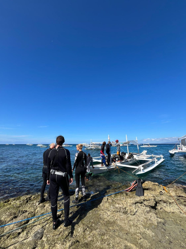 Others 3, Mario's Scuba Diving and Homestay, Dauin