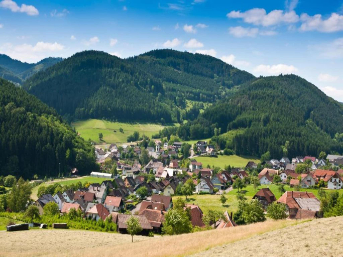 Others 4, Ruhiges Bauernhaus, Hofstetten, Ortenaukreis