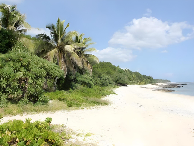 Others 5, Alofa Beach Bungalows, West Tanna