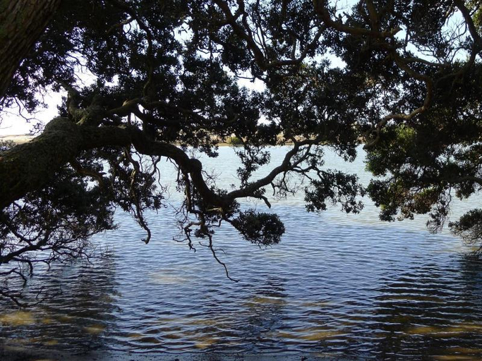 Others 5, Bream Bay Lodge, Whangarei