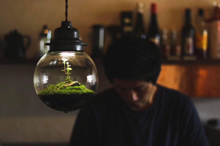 Food & Drinks, Why Kumano, Nachikatsuura