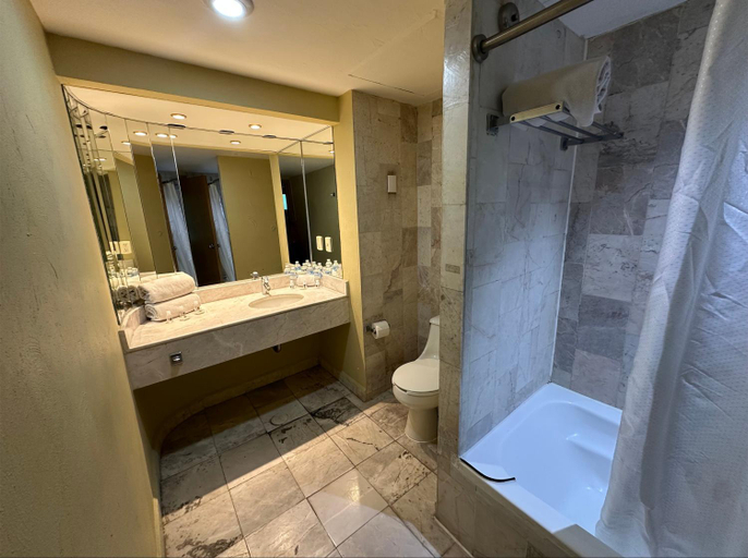 Bathroom 5, Florencia, Querétaro