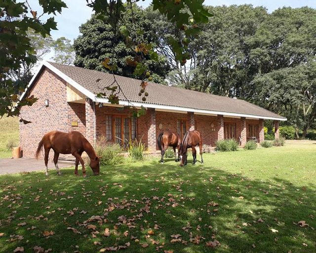 Others 4, Chillifields Guesthouse, eThekwini