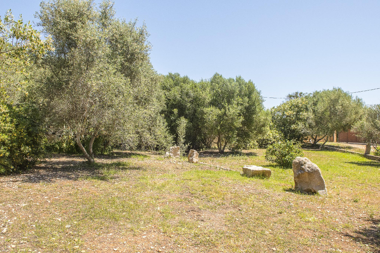 Others 5, FINCA SA PLANA, Baleares