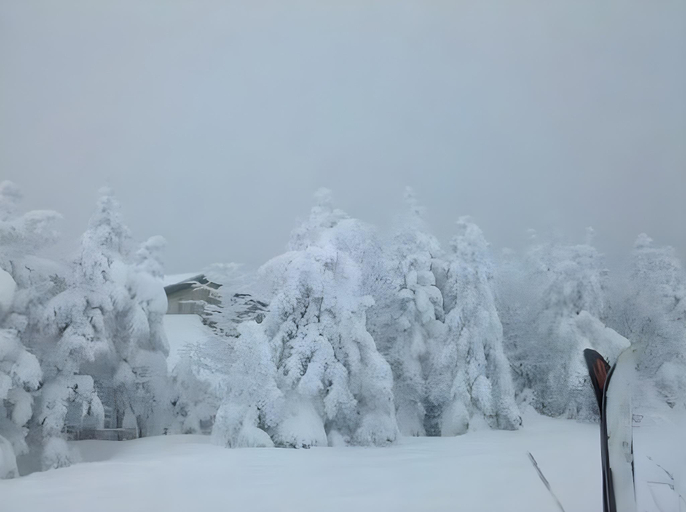 Others 5, The Inn at Mount Snow, Windham