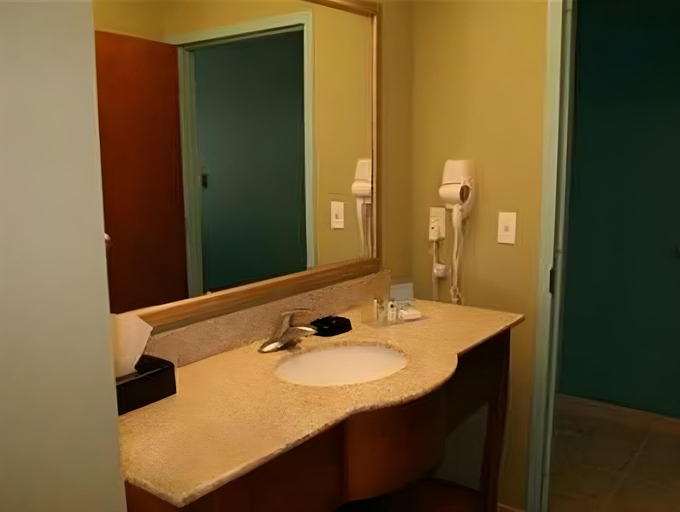 Bathroom 4, Hampton Inn by Hilton Bermuda Run Winston-Salem, Davie
