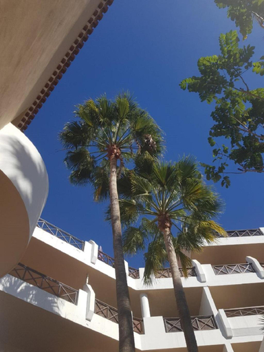 Exterior & Views 5, Tropical garden, sunshine, heated pool, Santa Cruz de Tenerife