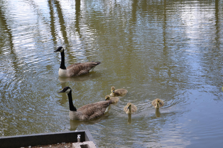 Others 4, The Chiltern Lodges at Upper Farm Henton, Oxfordshire