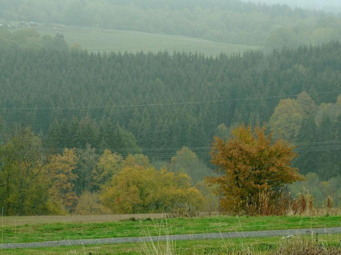 Others 5, Bungalow in Eifel near Mountain Trails, Vulkaneifel