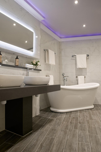 Bathroom 4, The Rine