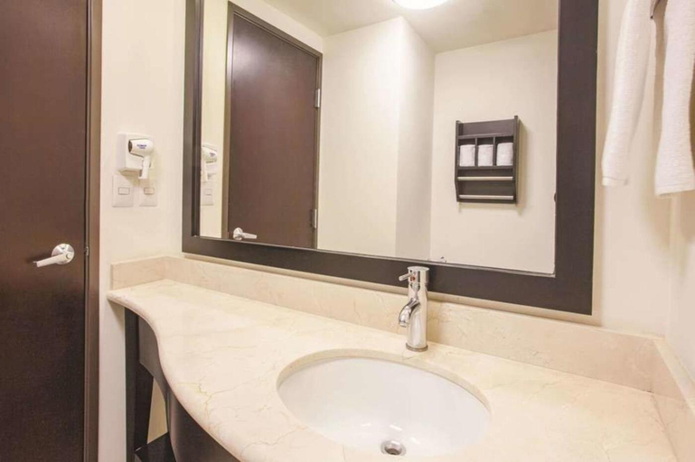 Bathroom 4, Garden Park Hotel, San Luis Potosí