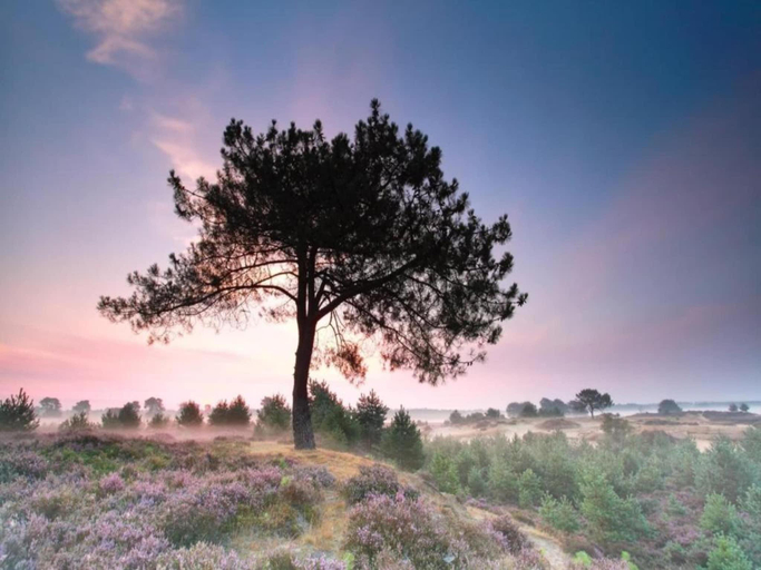Others 4, Holiday Home Mantinge near Nature Reserve, Midden-Drenthe