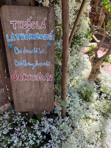 Others 2, An Homestay, Di Linh