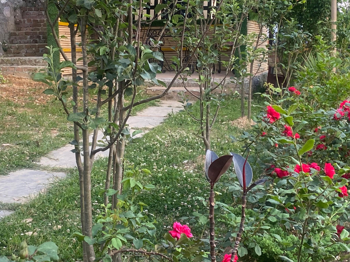 Others 4, Khushi Cottage, Almora
