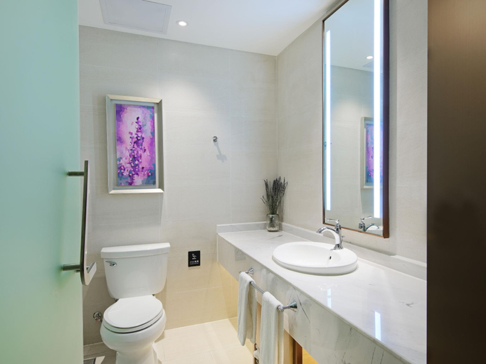 Bathroom 4, Lavande Hotel·Zigong Tanmulin Lantern Park, Zigong
