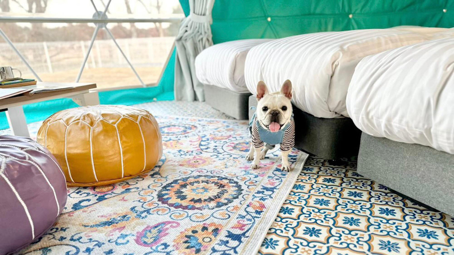 Bedroom 3, TACO GLAMP, Tako