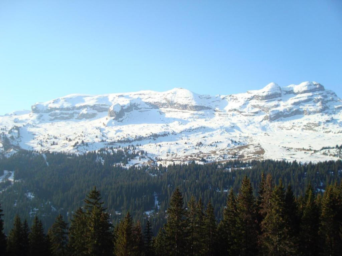 Others 2, Mountain Chalet w Terrace, Haute-Savoie