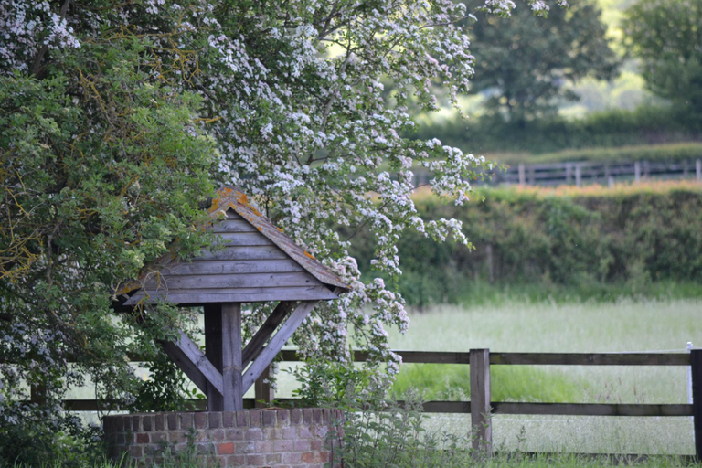 Others 3, The Chiltern Lodges at Upper Farm Henton, Oxfordshire