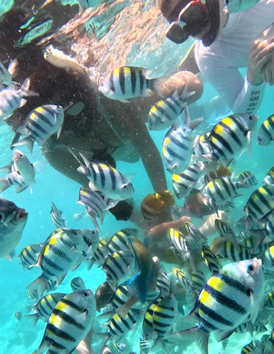 Others 2, Gili Mesari Cottages & Homestay, Lombok