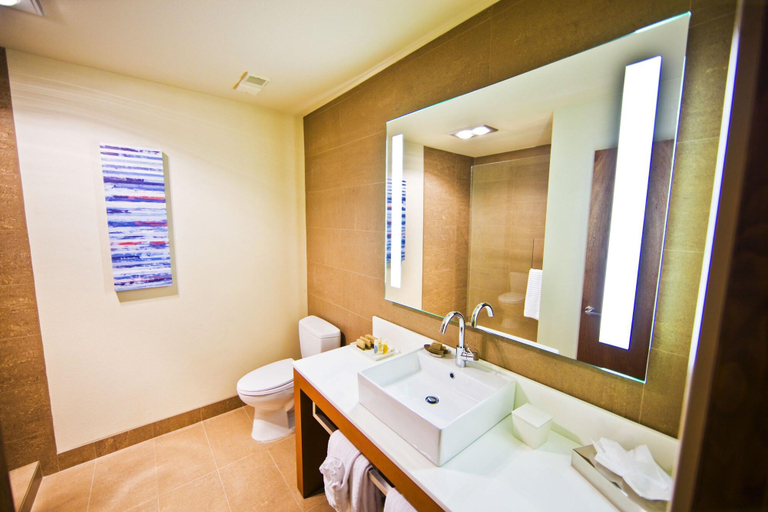 Bathroom 4, Resort at The Mountain; BW Premier Collection, Clackamas