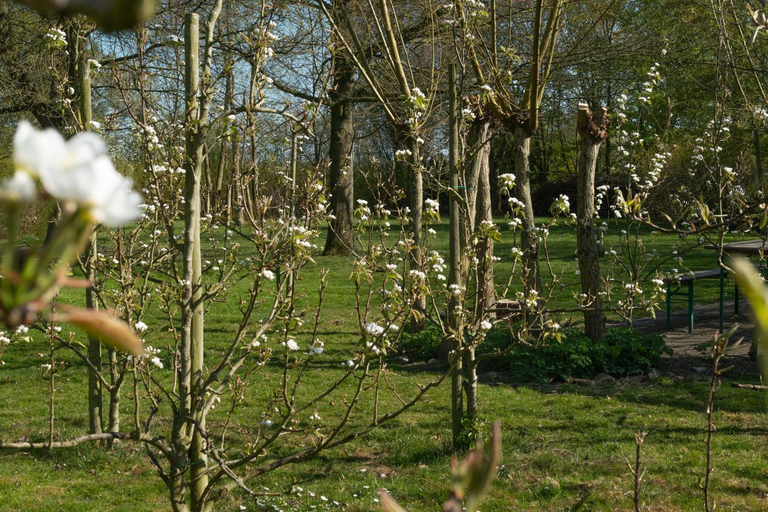 Others 3, Marenhoeve, Houten