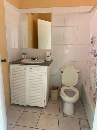 Bathroom 4, Bay Heights Escape