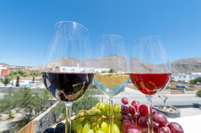 Food & Drinks 3, Olive grove villas, South Aegean
