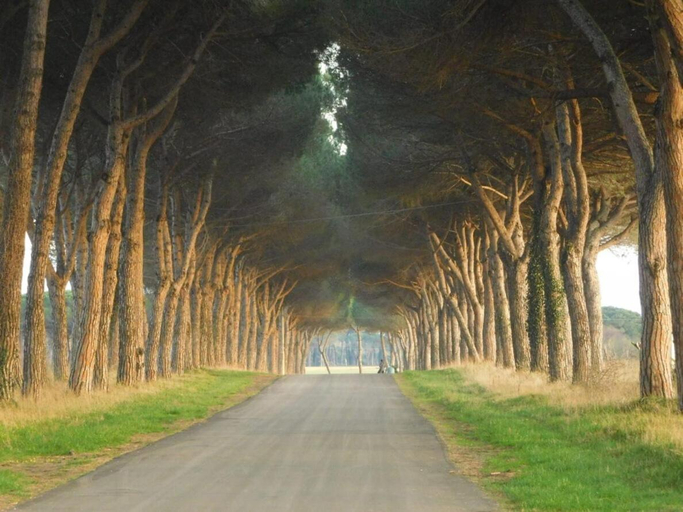 Others 5, Pigreco, Pisa