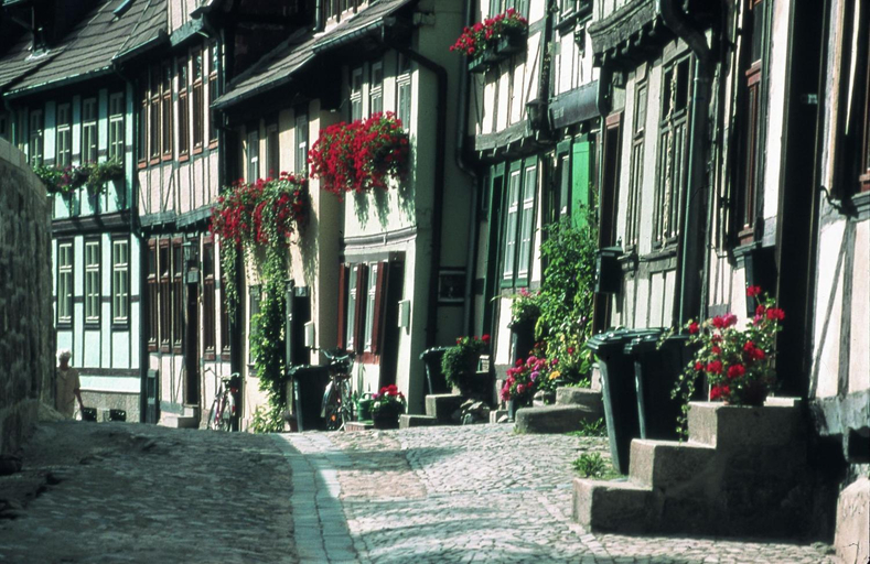 Others 5, Haus Murphy - by Le petit Palais, Harz