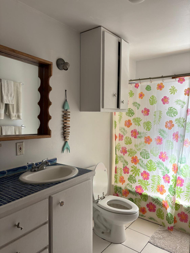 Bathroom 3, Seabreeze Inn, Roatán