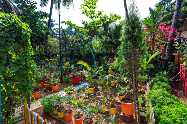 Others 5, Hotel Failaka, South Goa