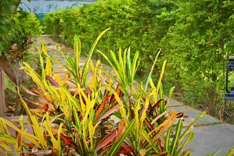 Others 4, Amar Bagh Hotel, Sawai Madhopur