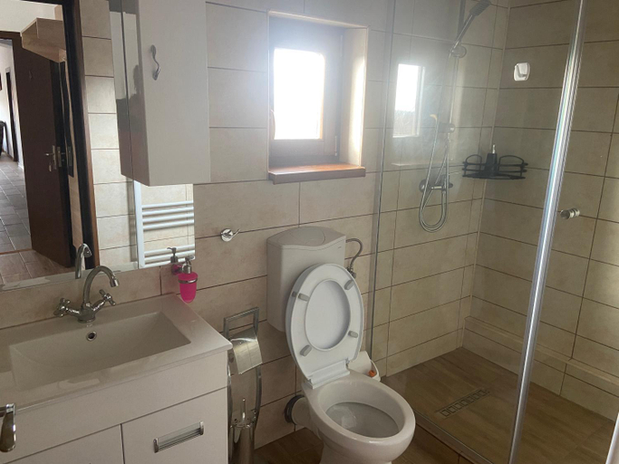 Bathroom 3, Pensiunea Maria Agighiol, Valea Nucarilor