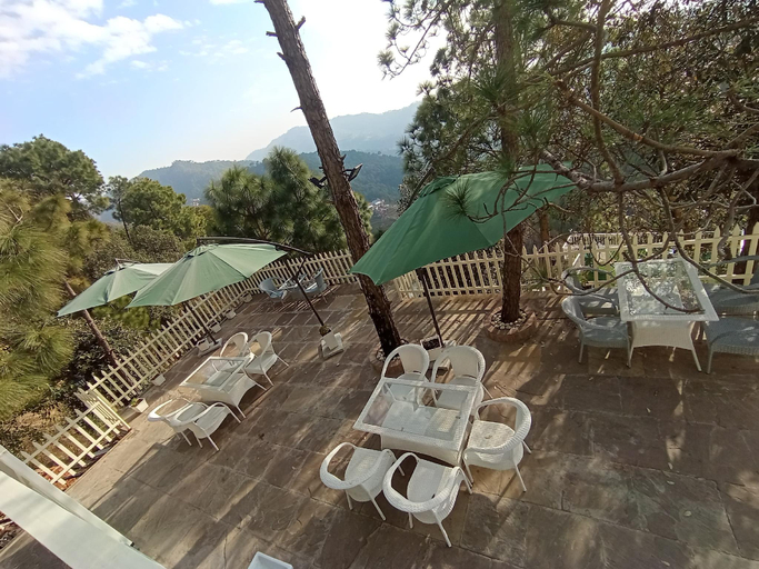 Food & Drinks 5, Koro Treehouse Resort, Solan