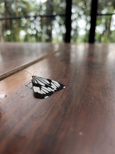 Others 4, Luxurious Earthy homestay, Wayanad