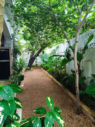 Garden 4, Mgongo tree house, Kusini
