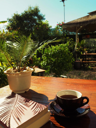 Food & Drinks 5, Gia Bao Homestay, Cao Bằng