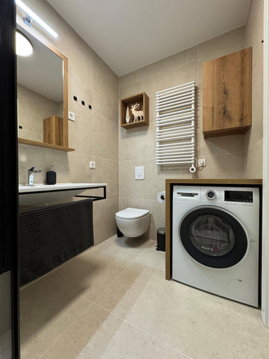 Bathroom 2, Steblaj apartments Park, Kranjska Gora