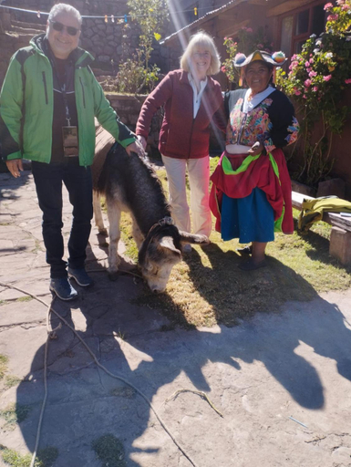 Others 4, Casa de Alejandra llachon, Puno