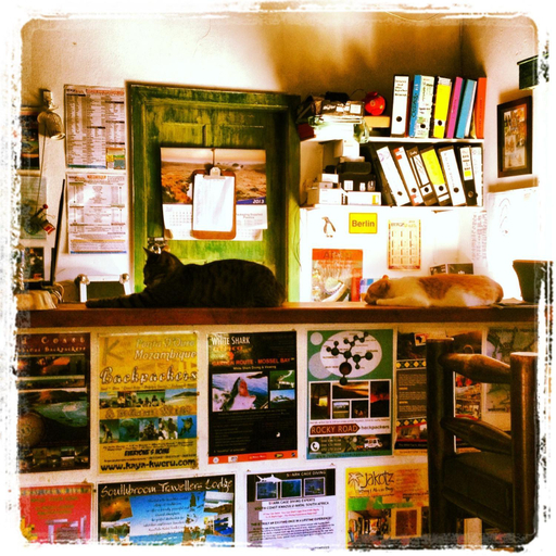 Food & Drinks 4, Jungle Monkey Backpackers, O.R.Tambo