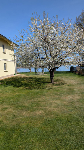 Others 4, Casa sul Lago Modern retreat, Potsdam-Mittelmark