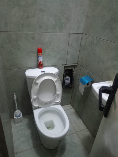 Bathroom 4, Tsavo Apartments, Roysambu