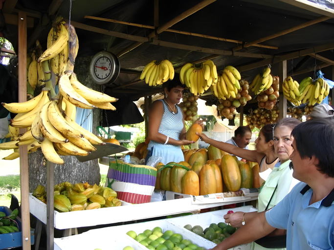 Food & Drinks 3, Spanish by the River - Turrialba, Turrialba