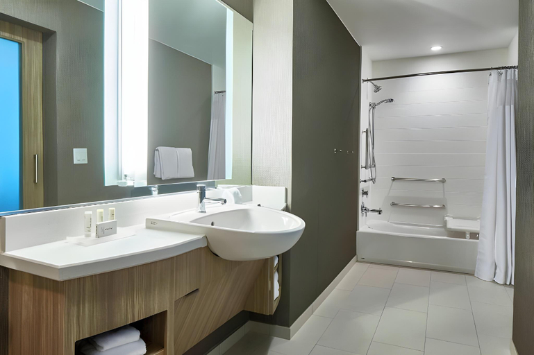 Bathroom, SpringHill Suites Nashville Downtown/Convention Center, Davidson
