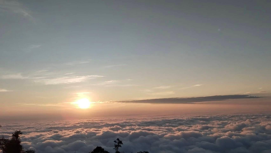 Others 5, Tae Khob Fah at Phu Thap Buek, Lom Kao