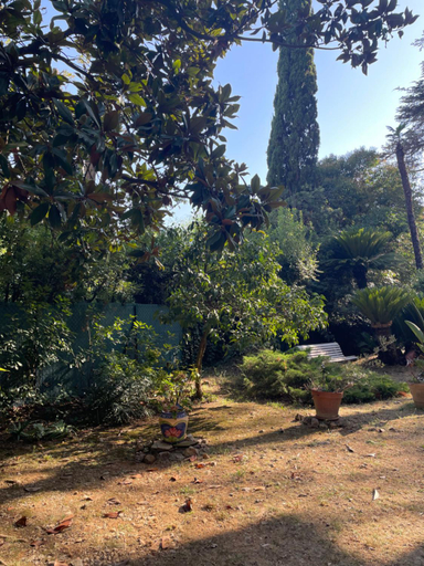 Others 5, Valbois, Alpes-Maritimes