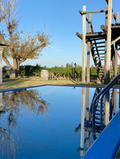 Others 5, Finca La Pichona, Tupungato