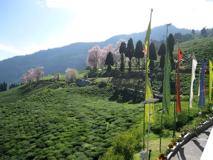 Others 3, Cherry Resort South Sikkim, South Sikkim