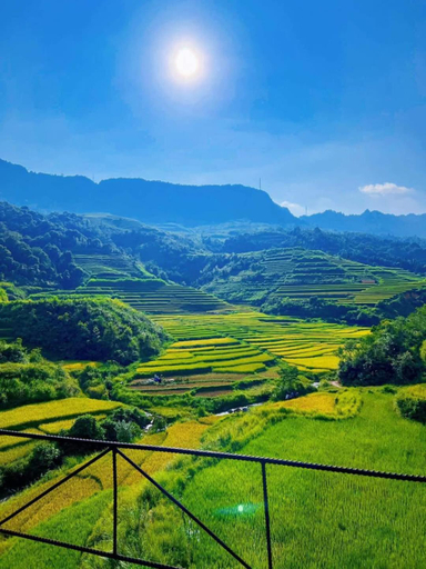 Others 5, Dien homestay, Quản Bạ